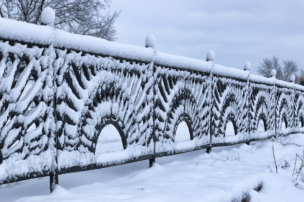 Portes de clôture forgées d'hiver