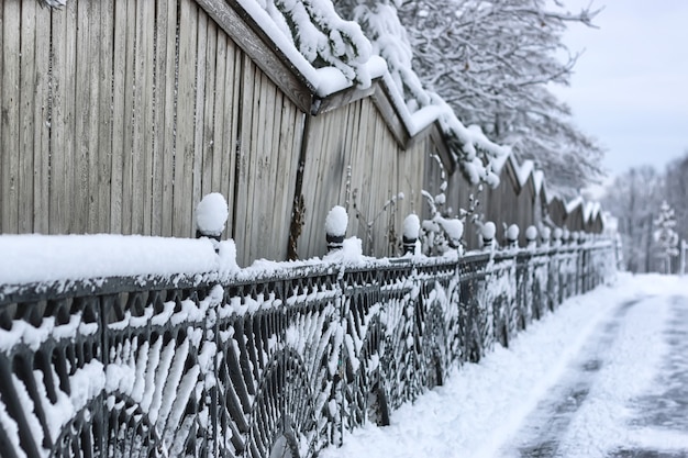 Portes de clôture forgées d'hiver