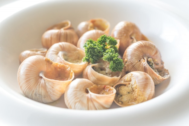 Portion d'escargots cuits