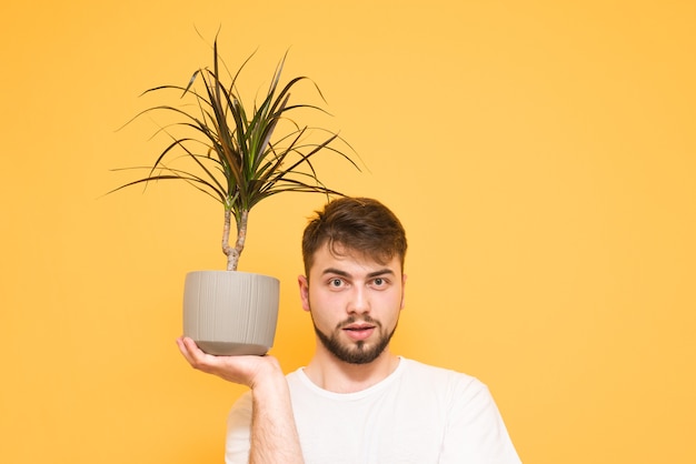 Portrait d'un adolescent sur jaune détient pot de fleurs