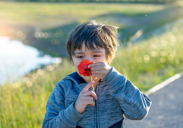 Portrait de l'adorable garçon qui sent la fleur, Candid shot shot odor sens sensoriel d'apprentissage de pavot