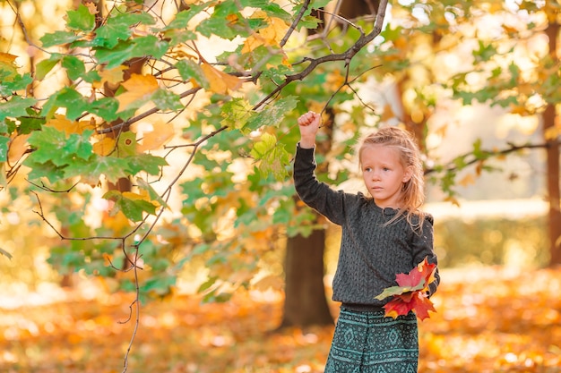 Portrait d'adorable petite fille avec bouquet de feuilles jaunes à l'automne à l'automne parc extérieur