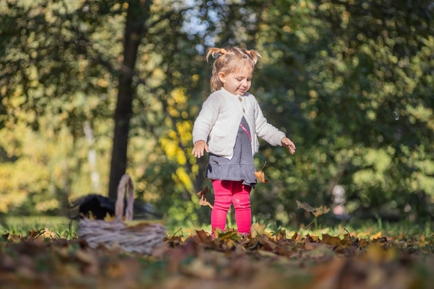 Portrait d'une adorable petite fille mignonne jouant dans des feuilles brûlantes dans un parc d'automne par une journée ensoleillée