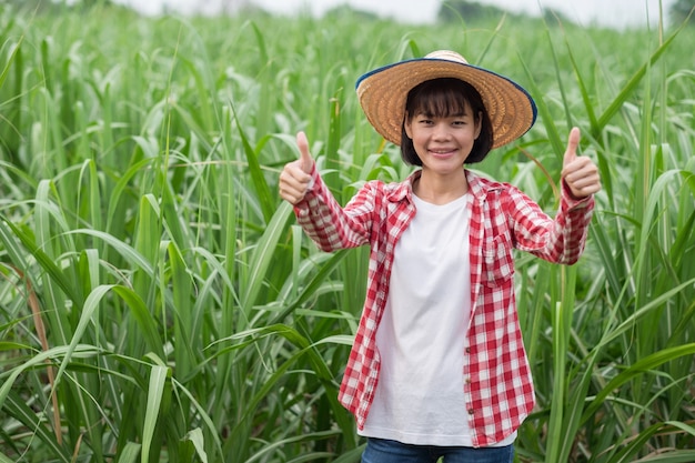 Portrait d'agriculteur asiatique dans un champ