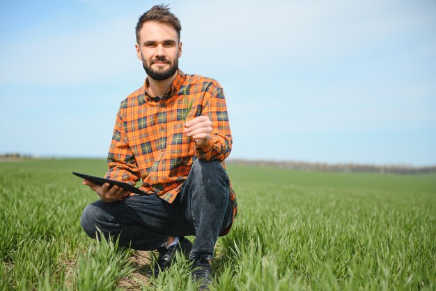 Portrait d'agriculteur dans un champ de blé Un bel agriculteur ou agronome travaille dans le domaine