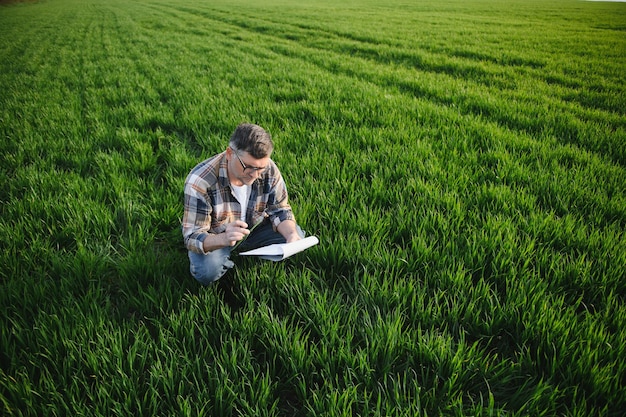 Portrait d'un agriculteur senior debout dans un champ de blé examinant la récolte pendant la journée