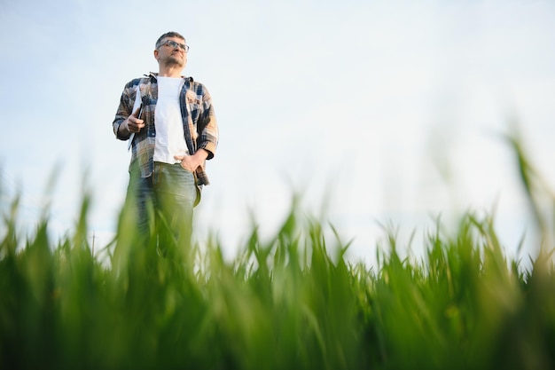 Portrait d'un agriculteur senior debout dans un champ de blé vert