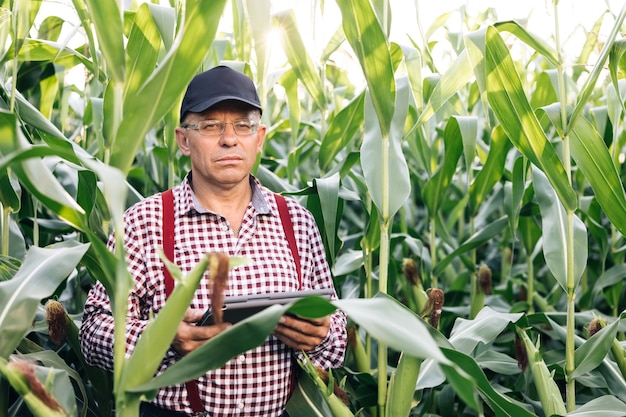 Portrait de l'agriculteur senior réfléchi avec une tablette numérique se penche sur la caméra