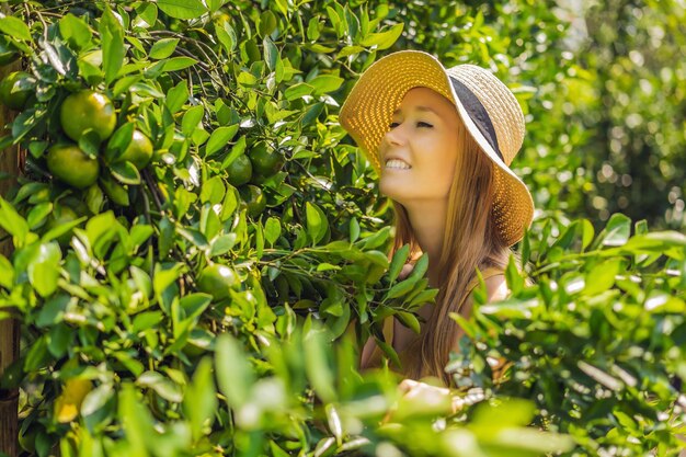 Portrait d'une agricultrice attirante récolte des oranges dans une ferme biologique Une fille joyeuse dans l'émotion du bonheur tout en récoltant des oranges dans le jardin Concept d'agriculture et de plantation