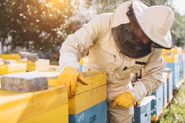 Photo portrait d'un apiculteur mâle heureux travaillant dans un rucher près de ruches avec des abeilles recueillir du miel apiculteur sur le rucher concept d'apiculture