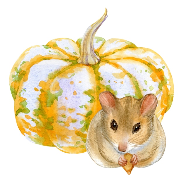 Portrait aquarelle de souris et citrouille sur fond blanc