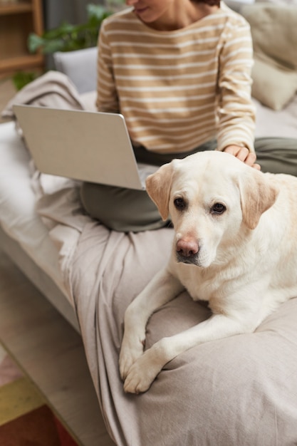 Portrait aux tons chauds vertical de chien Labrador blanc allongé sur le lit avec propriétaire féminin à l'aide d'un ordinateur portable en arrière-plan