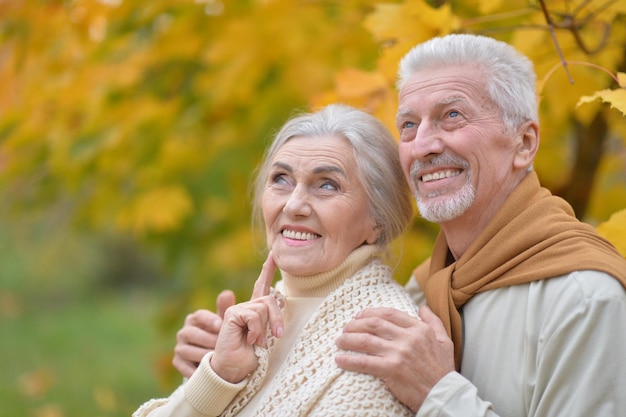 Portrait d'un beau couple de personnes âgées caucasien dans le parc