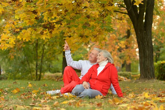 Portrait d'un beau couple de personnes âgées caucasien dans le parc