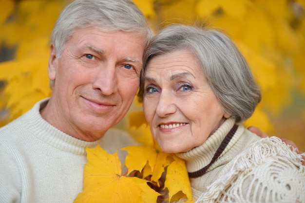 Portrait d'un beau couple de personnes âgées dans le parc d'automne
