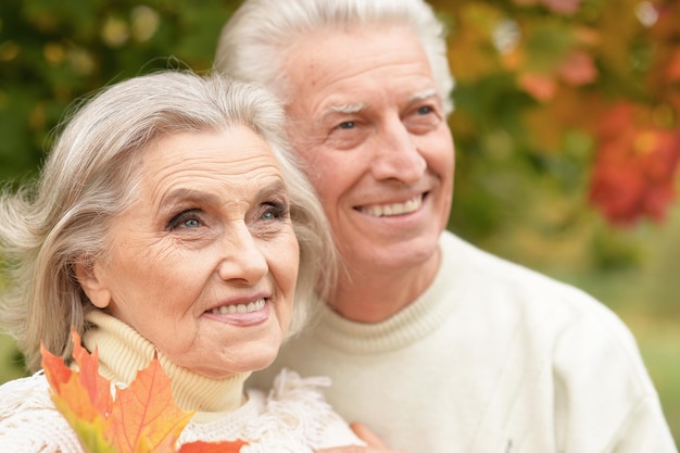 Portrait d'un beau couple de personnes âgées avec des feuilles dans le parc