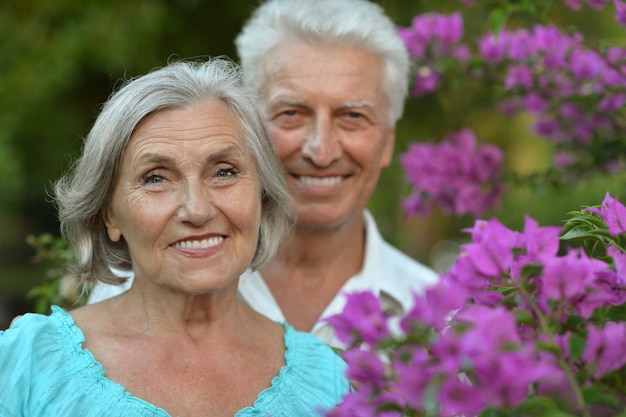 Portrait de beau couple de personnes âgées en plein air dans le parc d'été