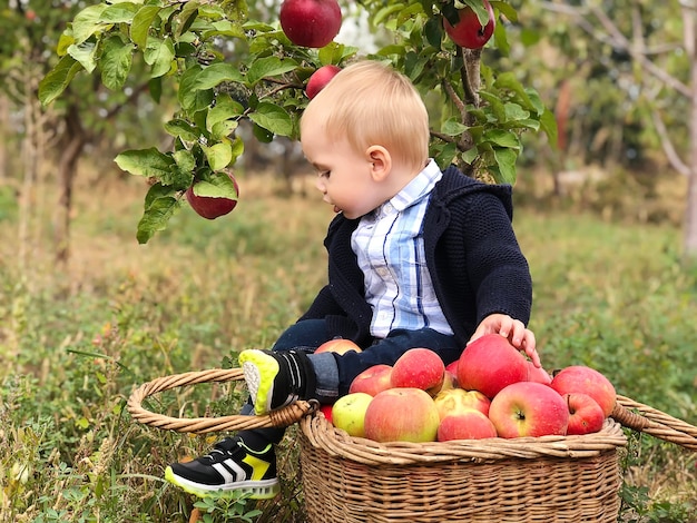 Portrait de beau petit garçon mangeant la pomme sur la pelouse