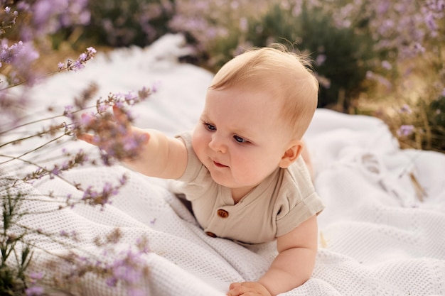 Portrait d'un bébé dans un champ de lavande