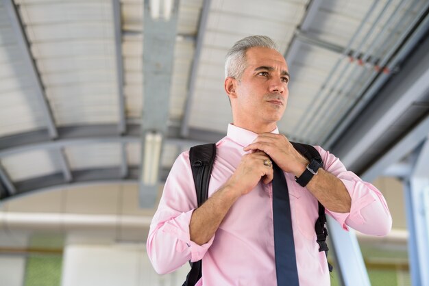 Portrait de bel homme d'affaires persan aux cheveux gris à la passerelle de la ville