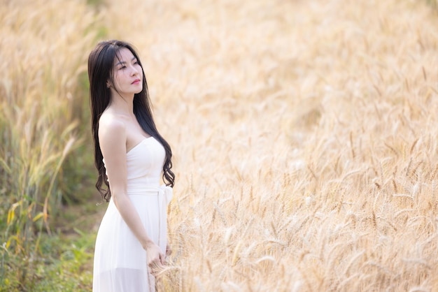 Portrait d'une belle femme asiatique dans un champ de blé