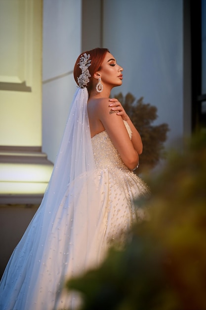 Portrait d'une belle mariée dans une belle robe de mariée