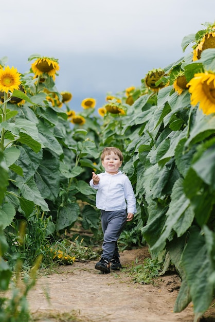 Portrait d'un charmant petit garçon avec un tournesol sur un champ d'été Le concept du bonheur des enfants