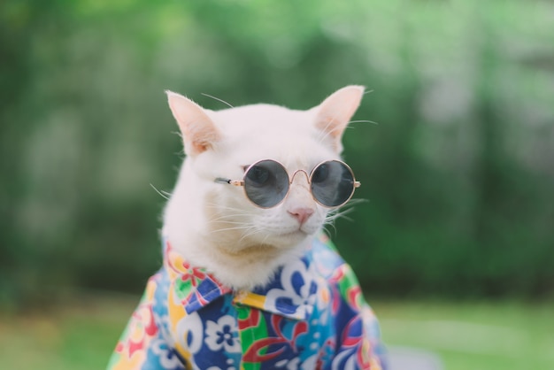 Portrait de chat blanc hipster, lunettes de soleil et chemise, concept de mode animal.