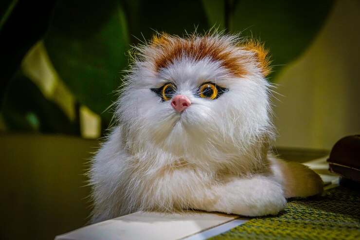 Photo portrait d'un chat