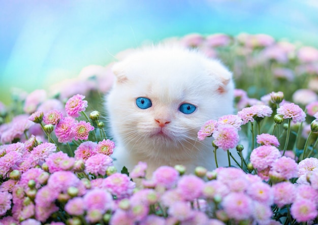 Portrait de chaton mignon en fleurs