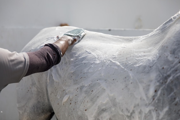 Portrait de cheval dans un jet d'eau Douche pour chevaux à l'écurie