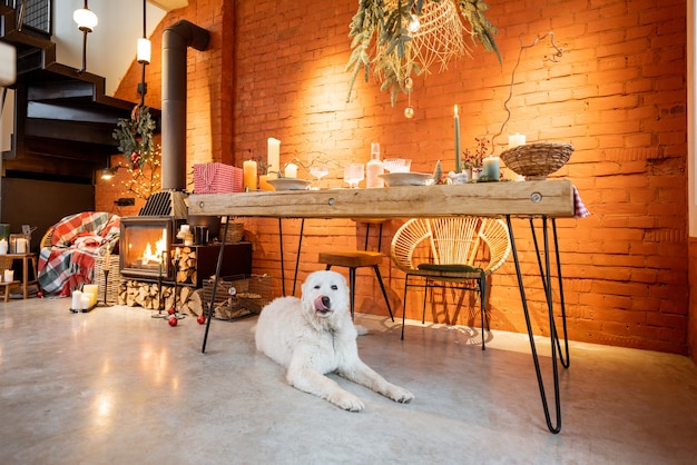 Portrait d'un chien mignon allongé sous la table dans un intérieur magnifiquement décoré pour les vacances du Nouvel An