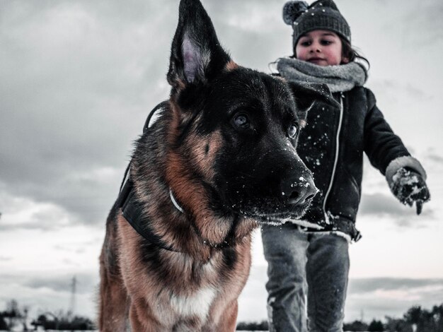 Photo portrait d'un chien