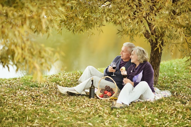 Portrait d'un couple d'âge mûr dans le parc en automne