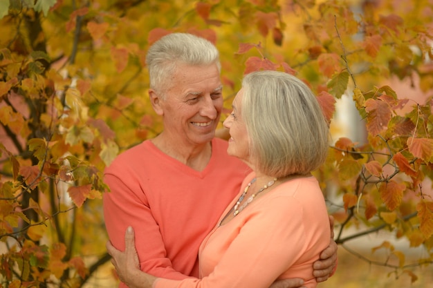 Portrait d'un couple d'âge mûr dans le parc en automne