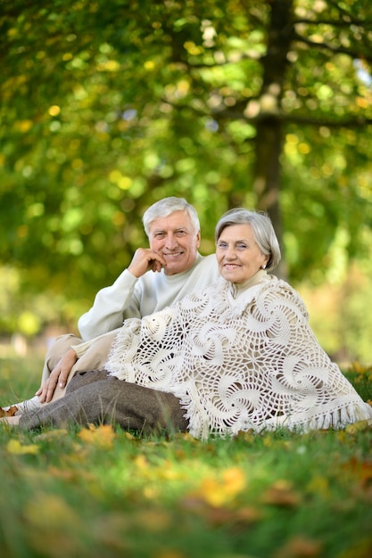 Portrait d'un couple d'âge mûr dans le parc d'été