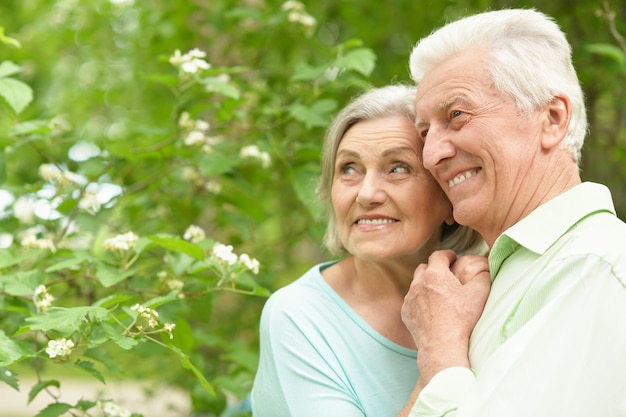 Portrait d'un couple d'âge mûr heureux dans le parc du printemps