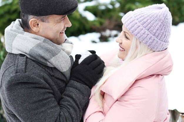 Portrait d'un couple d'âge mûr heureux dans le parc d'hiver