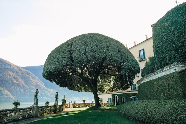 portrait d'un couple de mariage magnifique en Italie