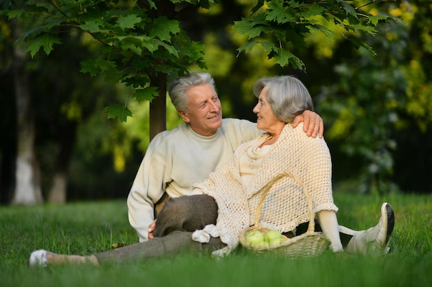 Portrait d'un couple de personnes âgées dans un parc d'été