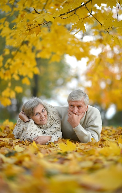 Portrait d'un couple de personnes âgées heureux dans le parc d'automne