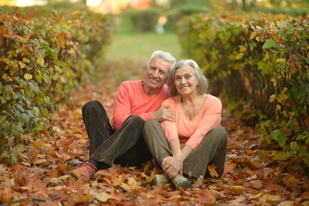 Portrait d'un couple de personnes âgées heureux dans le parc d'automne