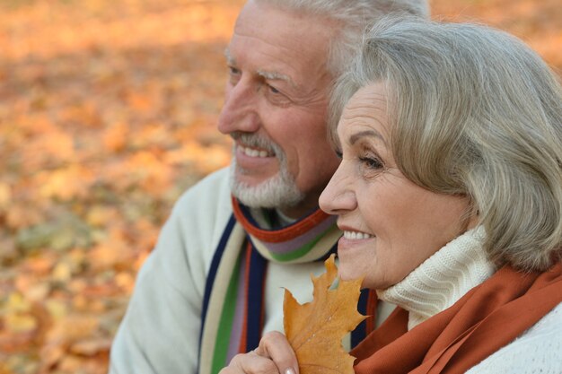 Portrait d'un couple de personnes âgées heureux dans le parc d'automne