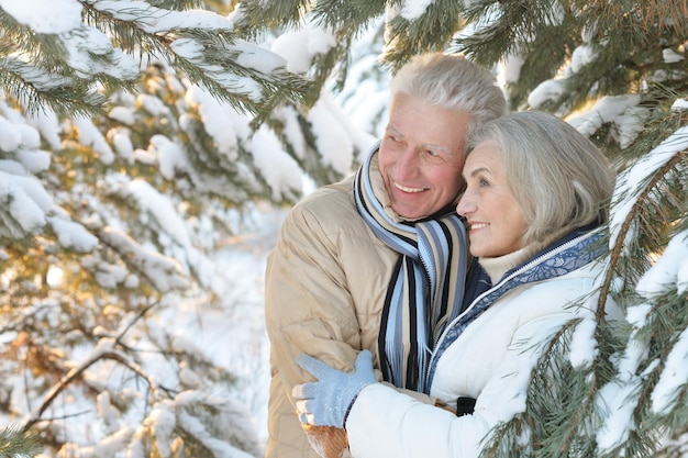 Portrait d'un couple de personnes âgées heureux à l'extérieur de l'hiver