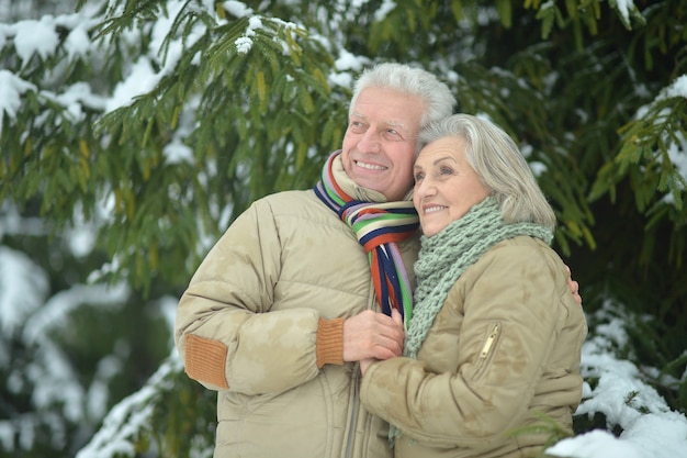 Portrait d'un couple de personnes âgées heureux à l'extérieur de l'hiver