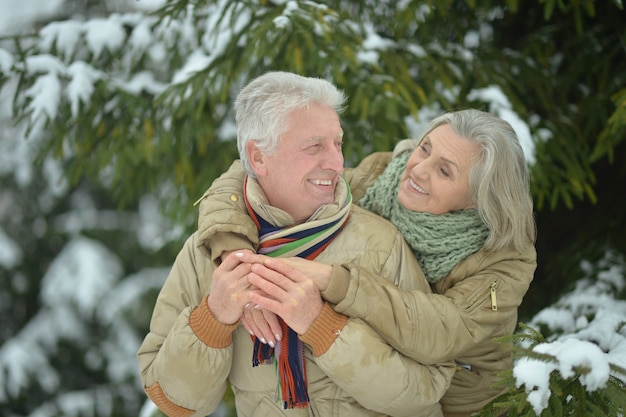 Portrait d'un couple de personnes âgées heureux à l'extérieur de l'hiver