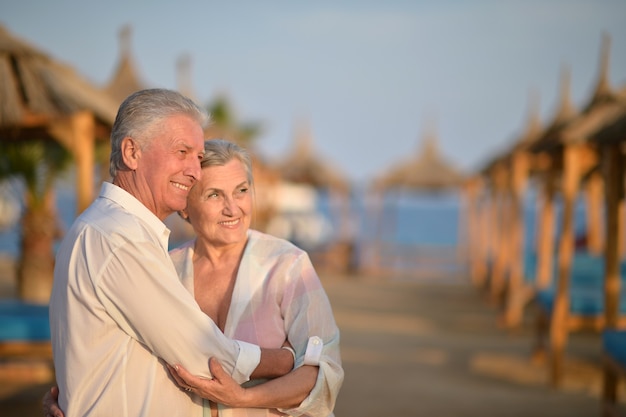 Portrait d'un couple de personnes âgées mignon heureux en mer