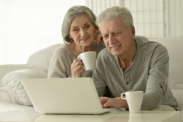 Portrait d'un couple de personnes âgées avec ordinateur portable