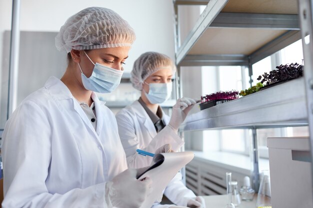 Portrait de deux femmes scientifiques examinant des échantillons de plantes tout en travaillant dans un laboratoire de biotechnologie et en écrivant sur le presse-papiers, copy space