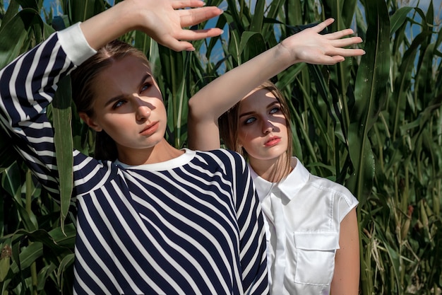 Portrait de deux jeunes femmes dans des vêtements élégants parmi le feuillage d'un champ de maïs